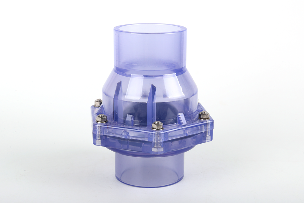 沧县透明翻板式止回阀